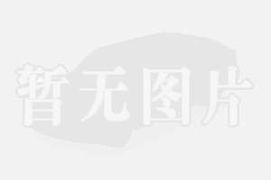 南京业丰达汽车贸易有限公司
